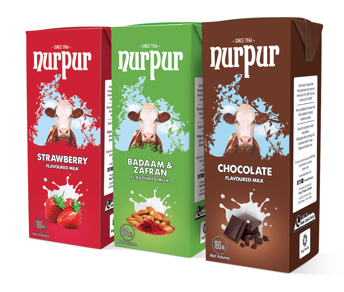 Nurpur Flavoured Milk